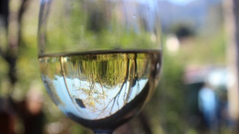 vino bianco bicchiere