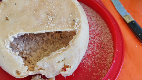 formaggio-coi-vermi-casu-marzu