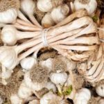 aglio-ufita-prodotti-campania