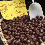 castagna-monte-faito-campania