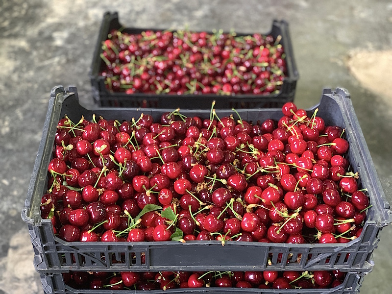 prodotto tipico piemontese