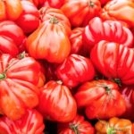 cuore-di-bue-prodotti-campania