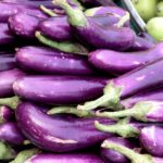 melanzana-cima-di-viola-prodotti-campania