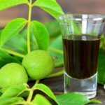 nocino-campania-nocillo