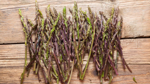 asparagi-selvatici