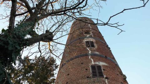 torre-di-montaldo-roero
