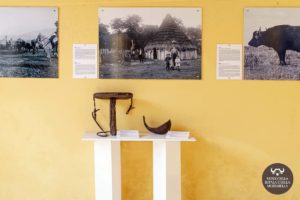 museo-della-bufala-e-della-mozzarella