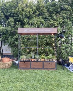 Aria di San Daniele Picnic